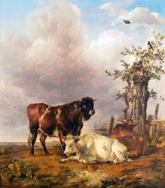 A bull and cows by a tree in a landscape