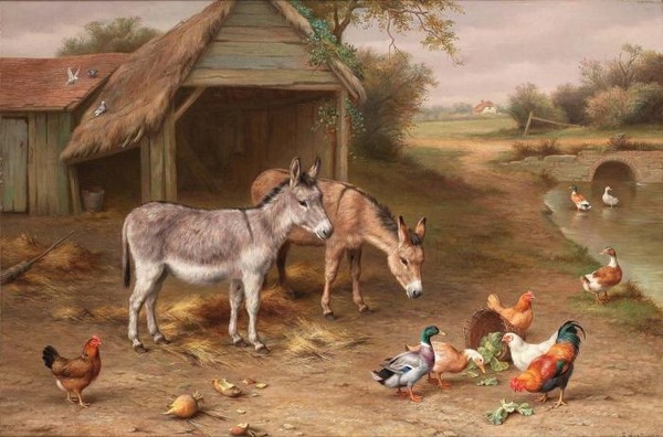 A farmyard scene with donkeys and poultry