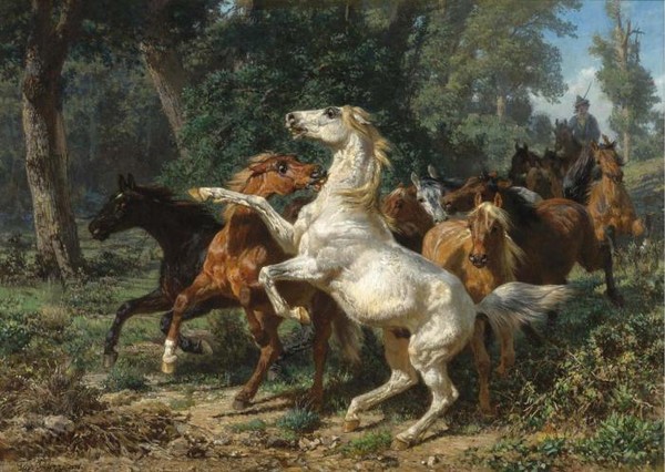A HERD OF HORSES