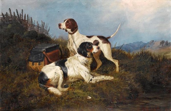 An English Setter and a Pointer in a highland landscape