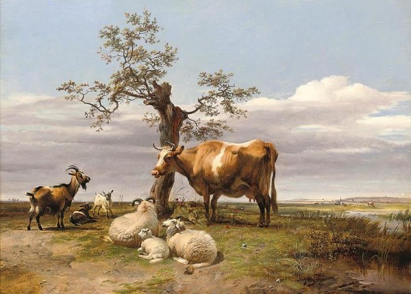 Animals beside a stream in an extensive lands