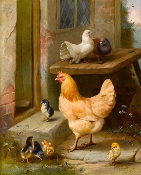 Chicken chicks and pigeons outside a cottage