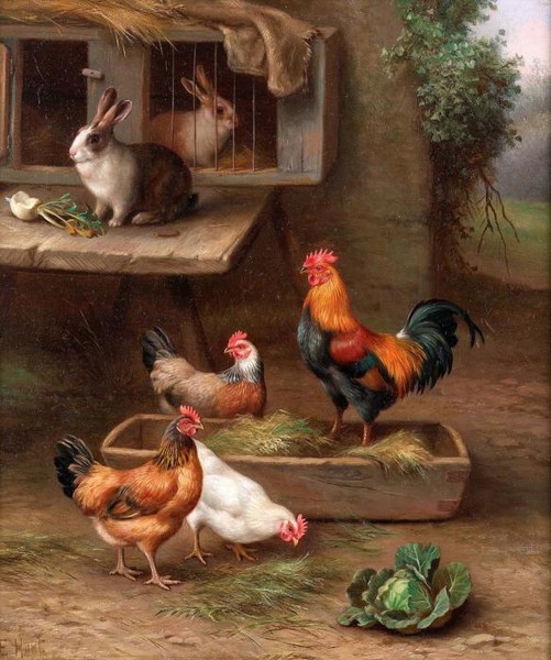 Chickens and rabbits in a farmyard