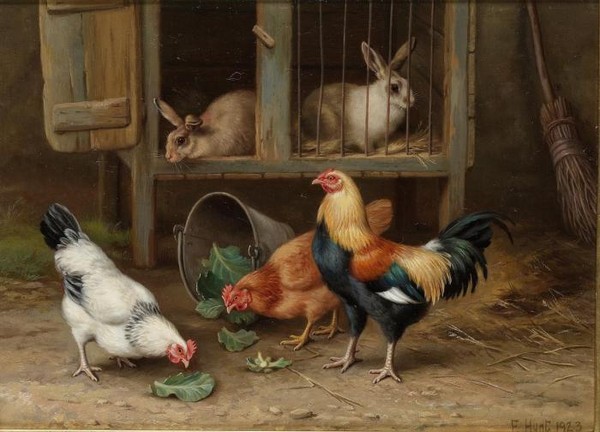 Chickens by a rabbit hutch