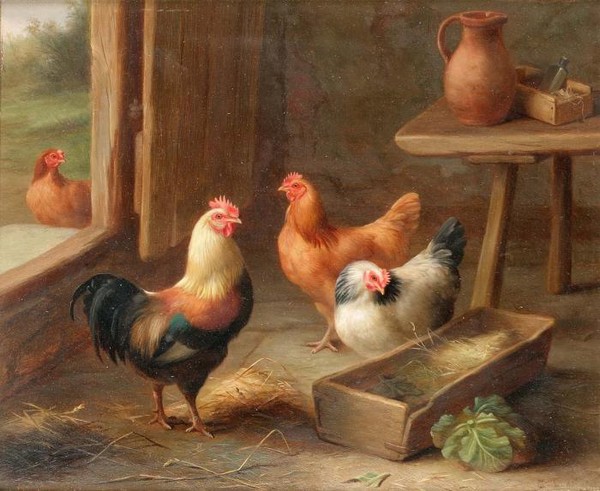 Chickens in a barn