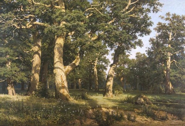 Дубовая роща. 1887.