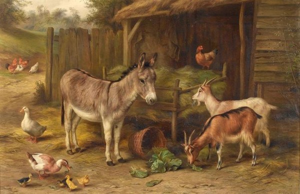 Farmyard scene with donkey goats chickens and ducks