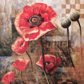 МЕНГ Фангуи