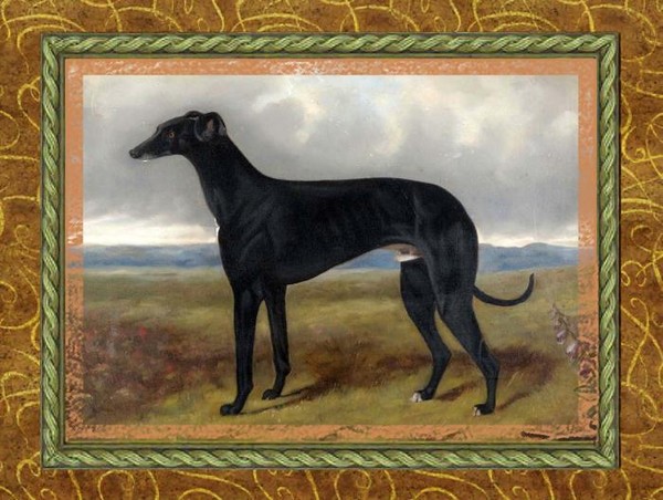 Гончая II