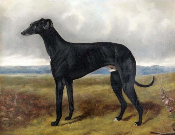 Гончая II