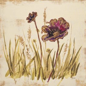 ДОС САНТОС Белла