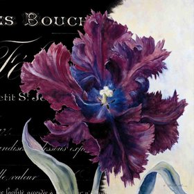 ЧАРЧИЛЛ Александра