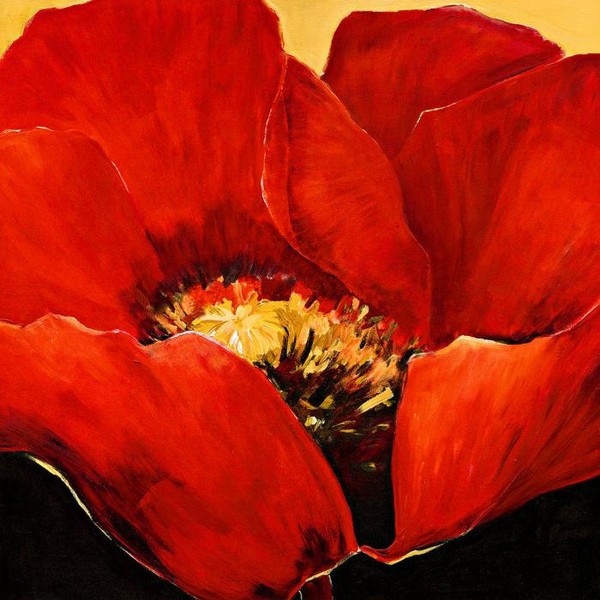 Красный мак II