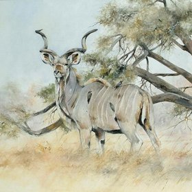 КЕЛЛИ Дэвид