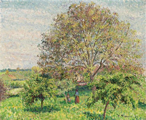 LE GRAND NOYER AU PRINTEMPS ERAGNY