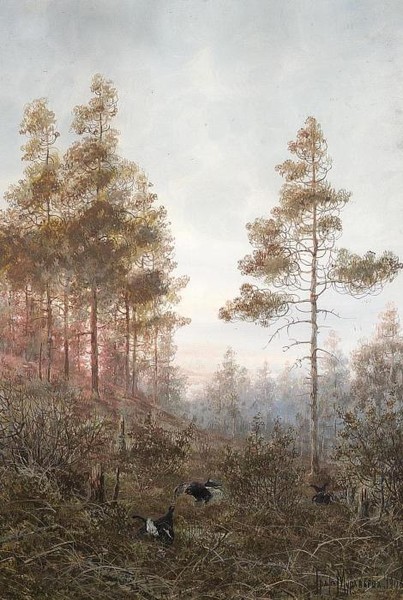 Лес в тумане