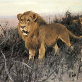 КУНЕРТ Вильгельм