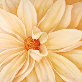 ДЕ ВИЛЕНЁВ Фабрис