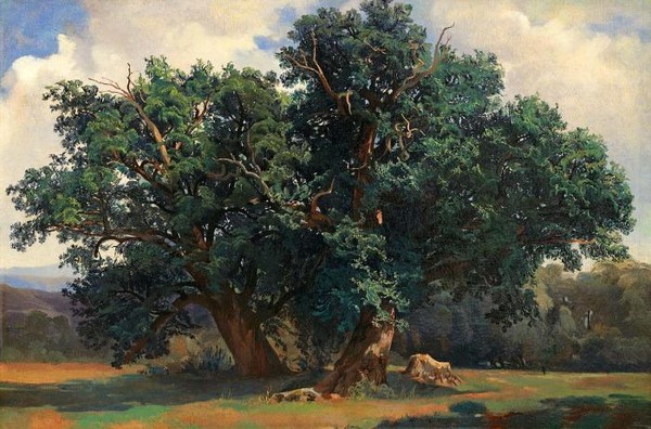 PAYSAGE AUX CH NESLANDSCAPE WITH OAK TREES