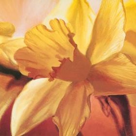 СЛОАН Алисия