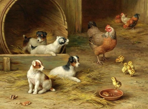 PUPPIES AND CHICKENS AND PUPPIES AND A TORTOISE TWO WO