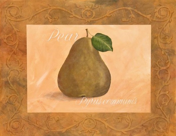 Pyrus Communis.