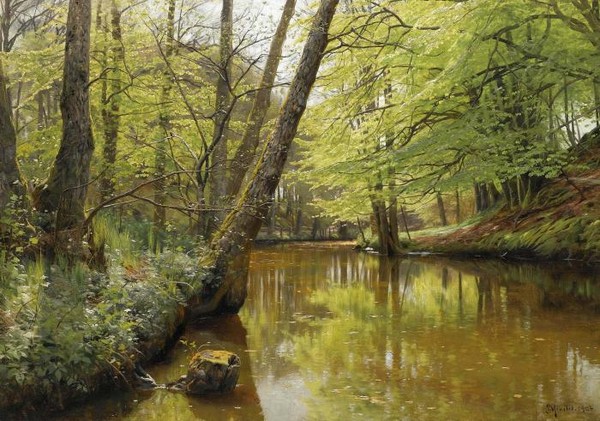 RIVER FLOWING THROUGH A TRANQUIL FOREST