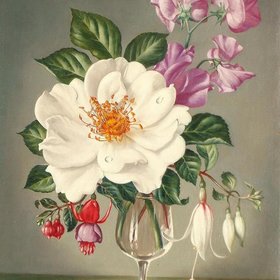 НОУБЛ Джеймс