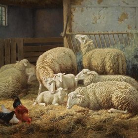 СЕВЕРДОНК Ван Франциоз