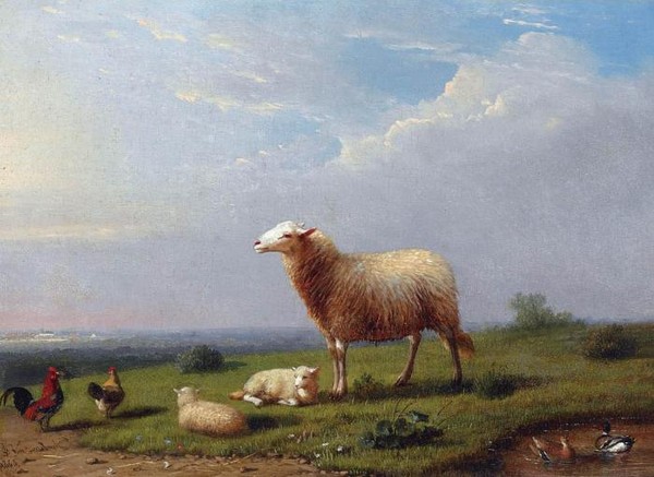 SHEEP RESTING WITH DUCKS IN A LANDSCAPE SHEEP AND CHICKENS