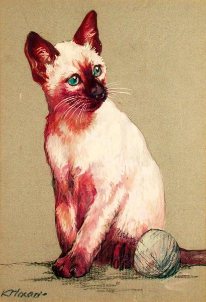 Siamese cat