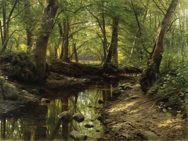 stream through the woods