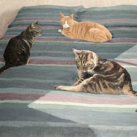 ХЬЮВСОН Анн