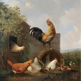 ФЕРХОЙЗЕН Альбертус