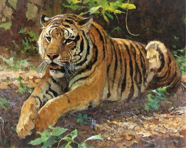 TIGER
