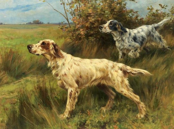 TWO ENGLISH SETTERS ON POINT
