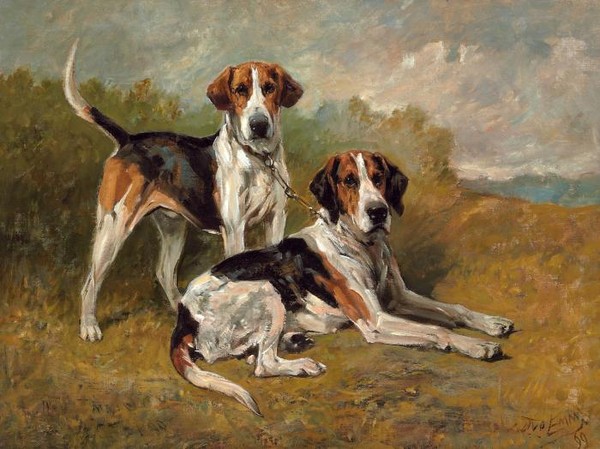 Two Hounds Resting