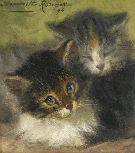 TWO KITTENS