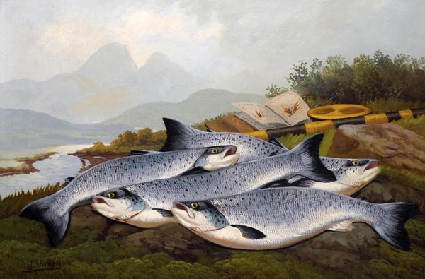 Улов в горной реке