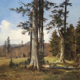 ДИФЕНБАХ Антон