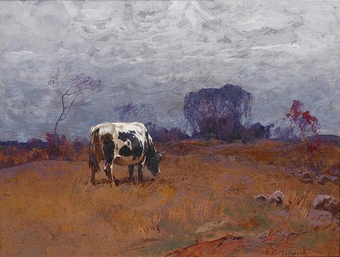 A cow grazing