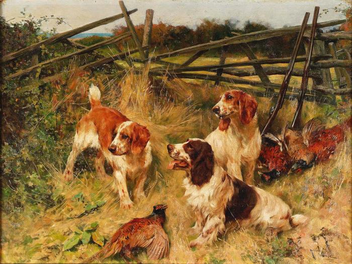 A GOOD DAY IN THE FIELD