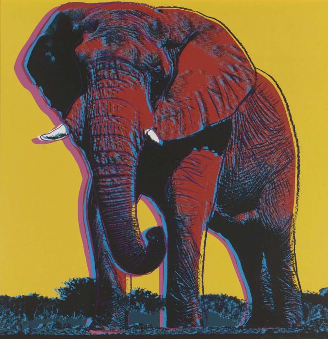 AFRICAN ELEPHANT на желтом фоне