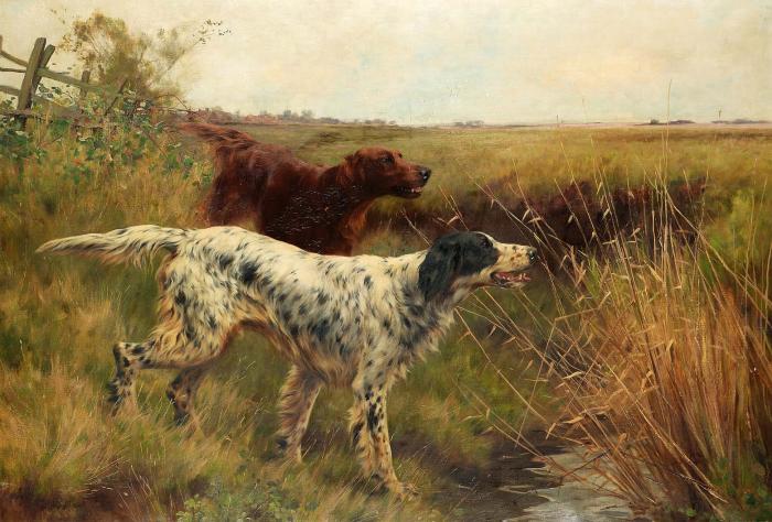 An English setter and an Irish setter in a landscape