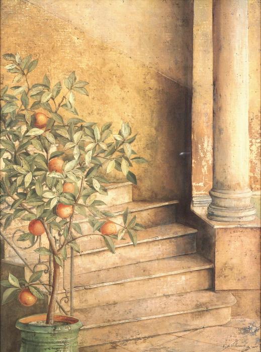 Апельсиновое дерево