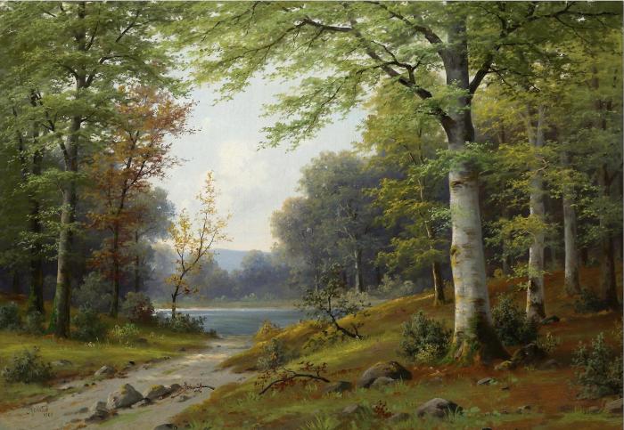 BIRCH TREES BY A STREAM