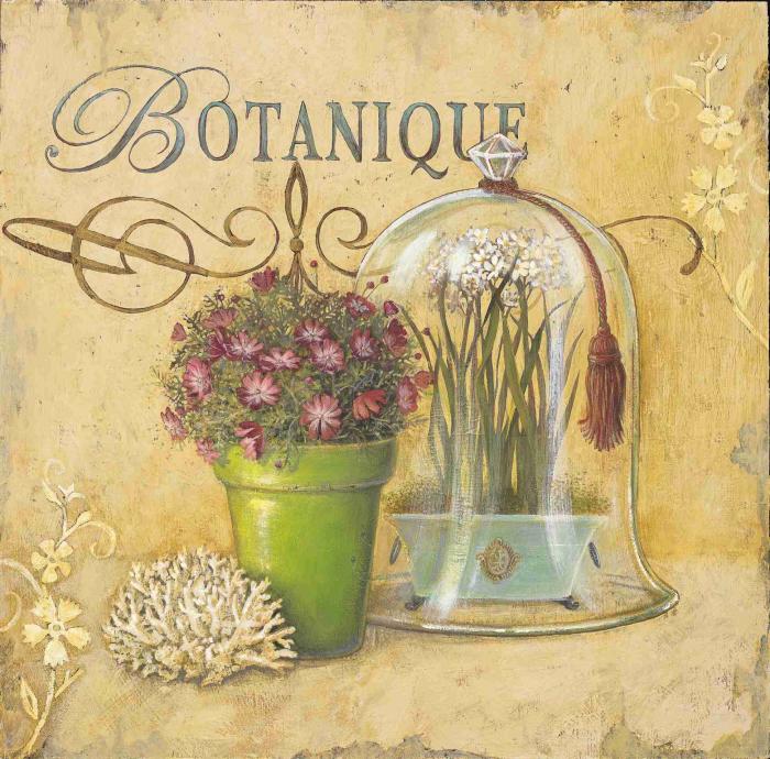 Botanigue