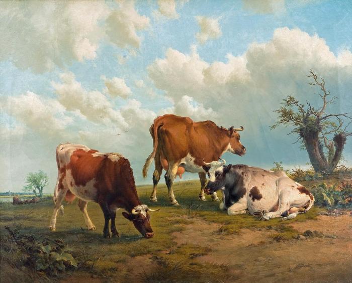 Cattle in a landscape bears