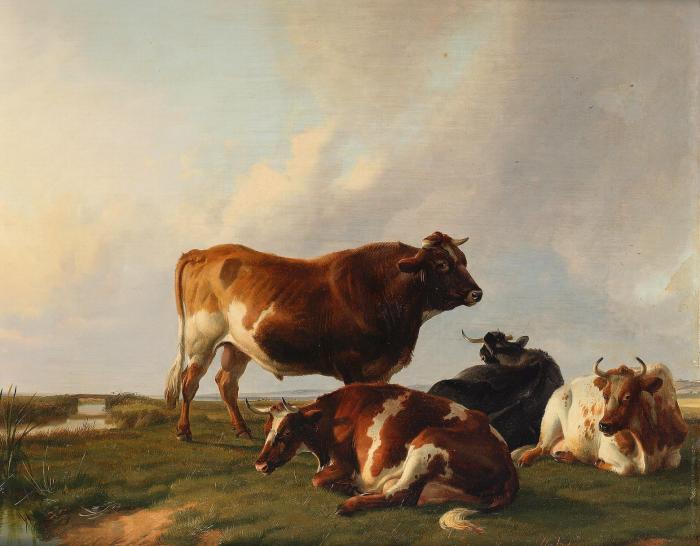 Cattle in a meadow