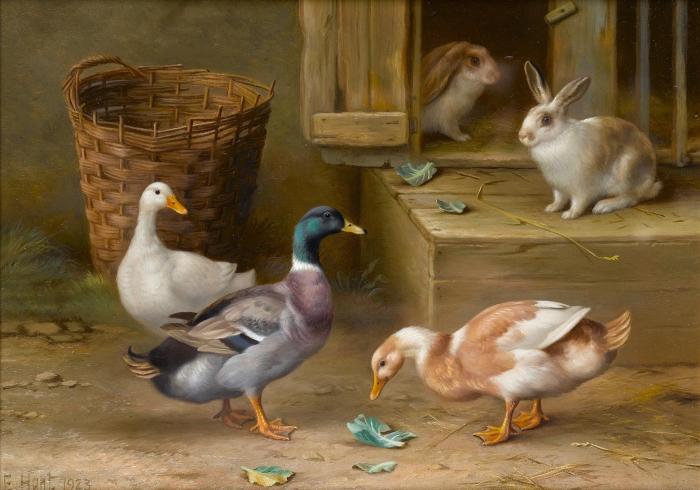 Chickens and pigeons in a farmyard Ducks and rabbits in a farmyard a pair both